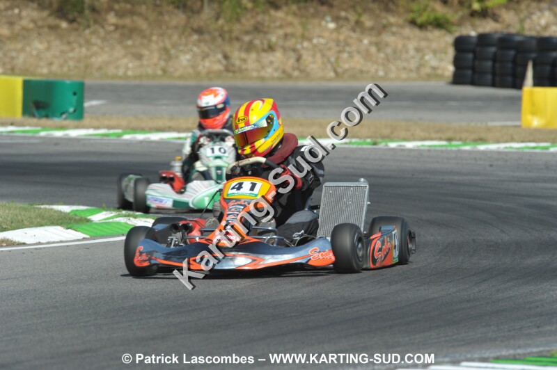 DSC_ (1135).JPG